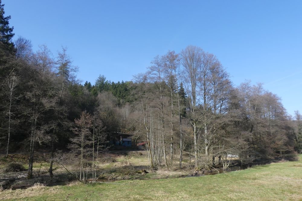 Direkt am Waldrand liegt dieses gemütliche Wohnhaus mit eigenem Wald und Wiesen in Mossautal