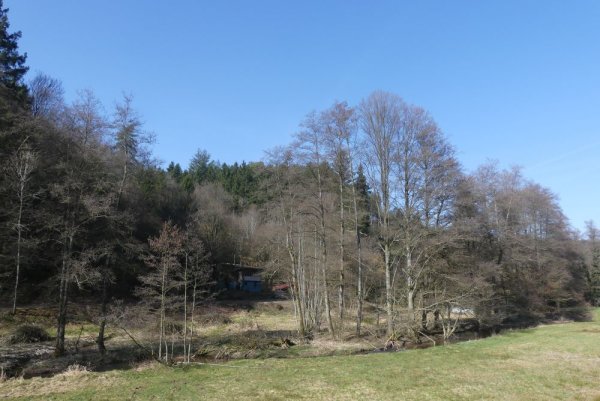 Direkt am Waldrand liegt dieses gemütliche Wohnhaus mit eigenem Wald und Wiesen in Mossautal